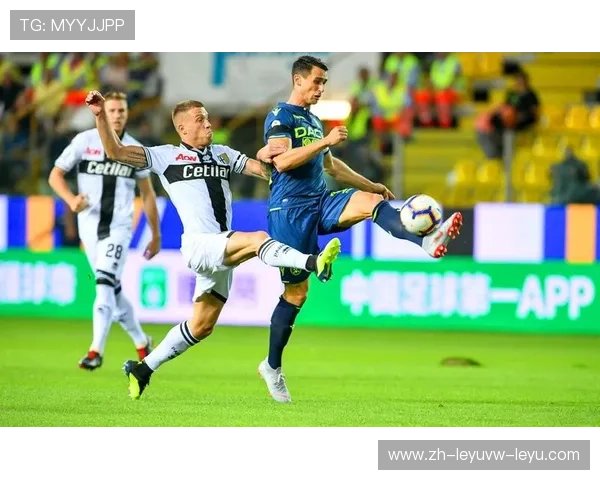 意甲哪个球队拥有最多粉丝?粉丝文化解读